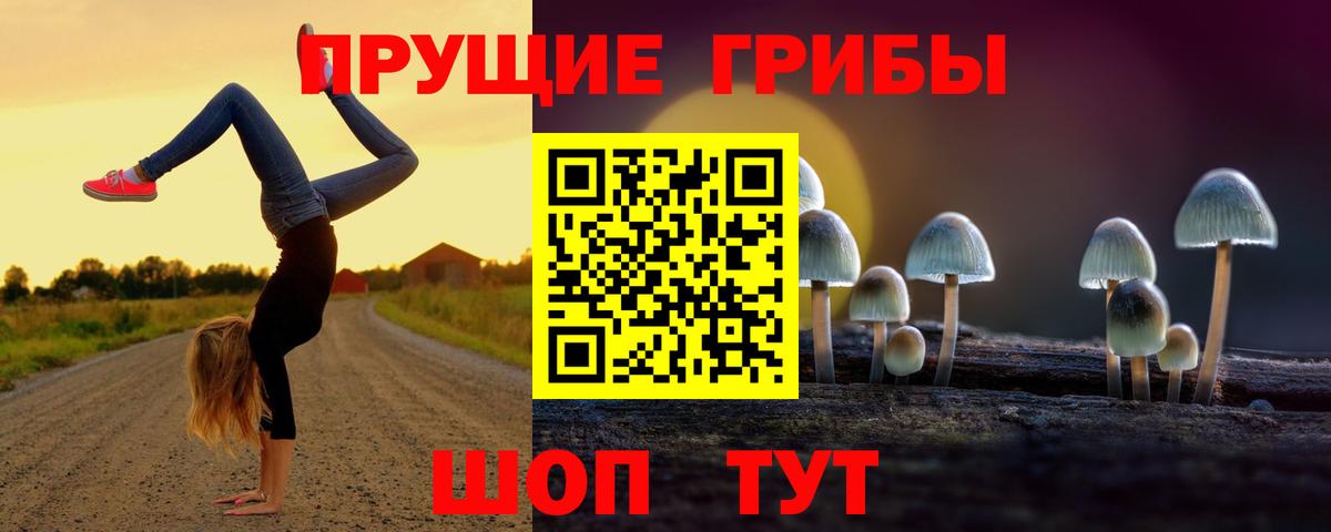 Галлюциногенные грибы MAGIC MUSHROOMS  Псилоцибиновые грибы мухоморы  Михайловск  Вход с VPN 